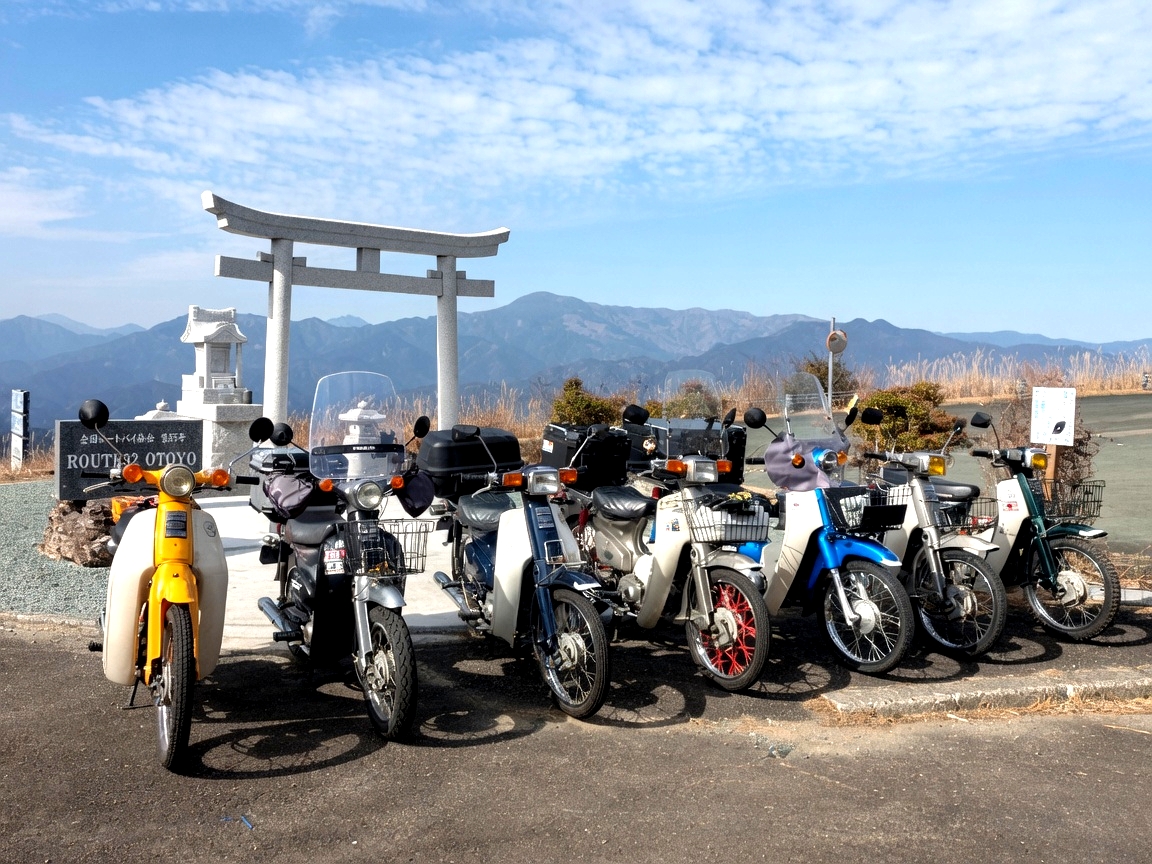 高知