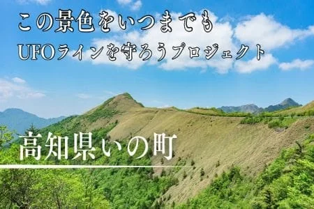高知